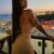 Bursa Merkez Yeni Lolita Escortunu DUYGU - Image 1 Bursa Merkez Yeni Lolita Escortunu DUYGU - Image 1