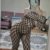 Bursa Merkez Full Sınırsız Escort PERİ - Image 1