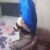 Bursa Gemlik Eve Otele Gelen Escort ENDAM - Image 5