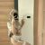 Görükle Escort Bayan DUYGU - Full Sınırsız - Image 2