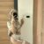 Bursa Escort ŞİRİN -Sizin Eviniz + Otel - Image 1